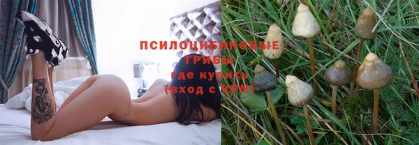 гидропоника Алексеевка