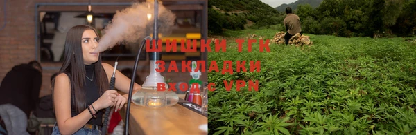 героин Алексин